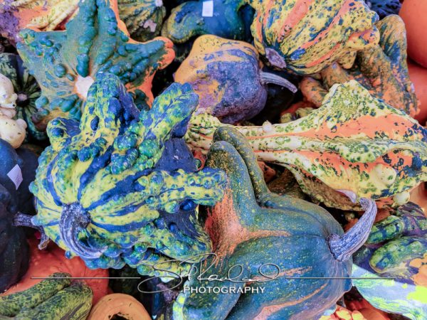 Berrys Produce Rt 301 Hanover #14632