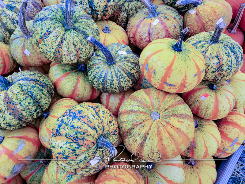 Berrys Produce Rt 301 Hanover #14633