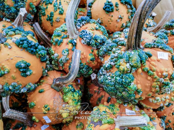 Berrys Produce Rt 301 Hanover #14634