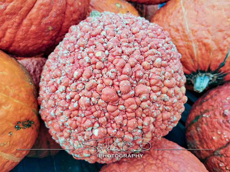 Berrys Produce Rt 301 Hanover #14636