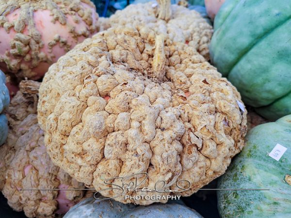 Berrys Produce Rt 301 Hanover #14637