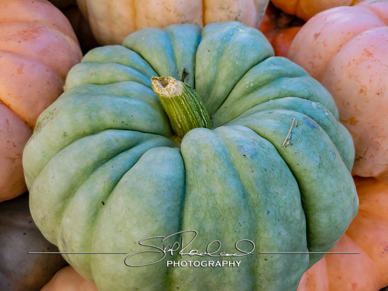 Berrys Produce Rt 301 Hanover #14638