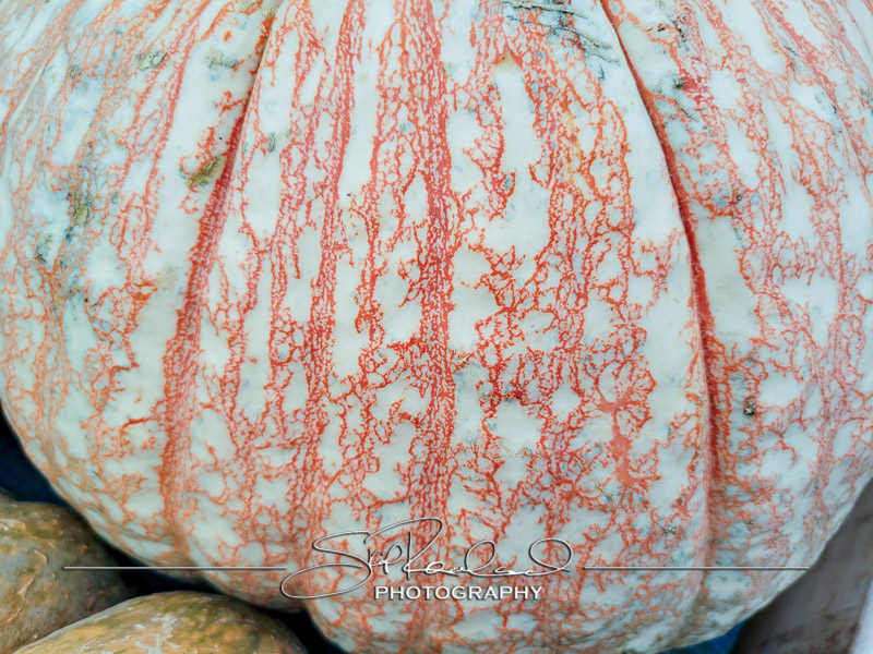 Berrys Produce Rt 301 Hanover #14640