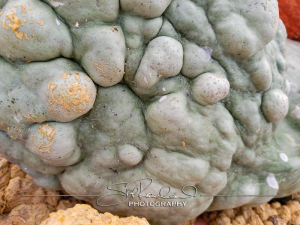 Berrys Produce Rt 301 Hanover #14642