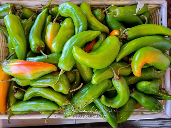 Berrys Produce Rt 301 Hanover #14651