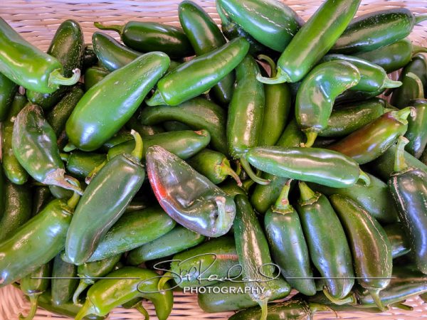 Berrys Produce Rt 301 Hanover #14652