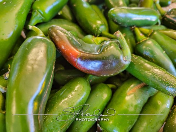 Berrys Produce Rt 301 Hanover #14653