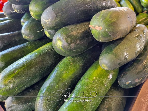 Berrys Produce Rt 301 Hanover #14657