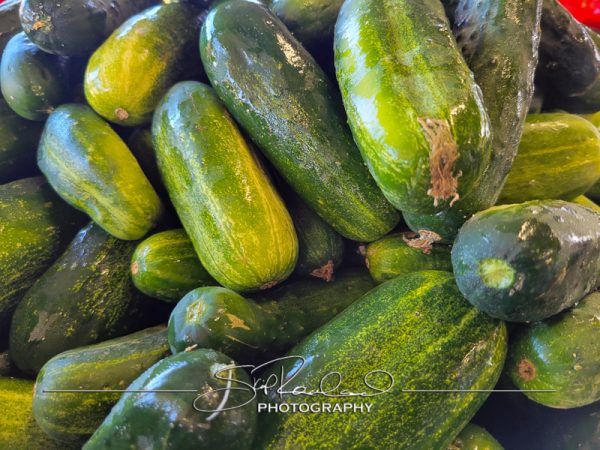 Berrys Produce Rt 301 Hanover #14658