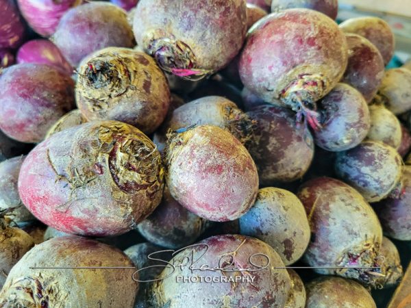 Berrys Produce Rt 301 Hanover #14660