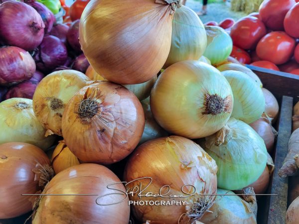 Berrys Produce Rt 301 Hanover #14663