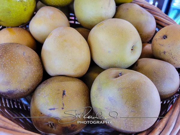 Berrys Produce Rt 301 Hanover #14664