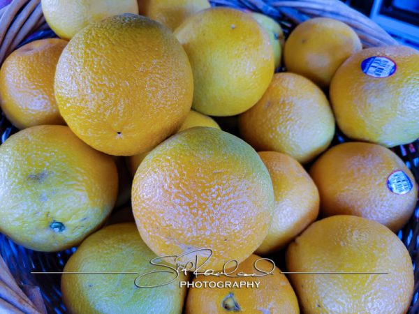 Berrys Produce Rt 301 Hanover #14665