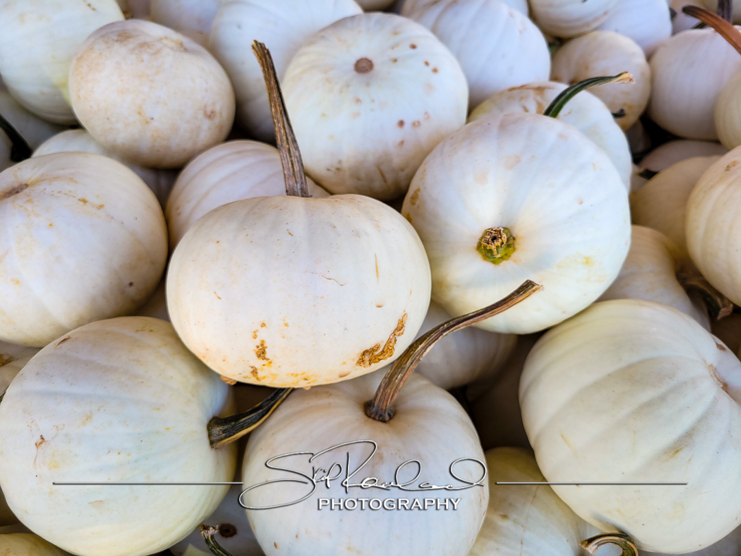 Read more about the article Pole Green Produce Hanover