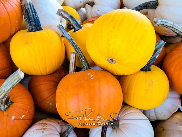 Pole Green Produce Hanover #18022