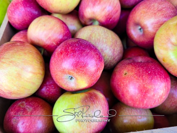 Pole Green Produce Hanover #18023