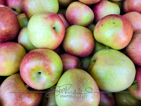 Pole Green Produce Hanover #18024