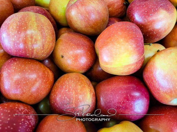 Pole Green Produce Hanover #18029