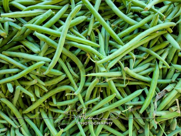 Pole Green Produce Hanover #18031