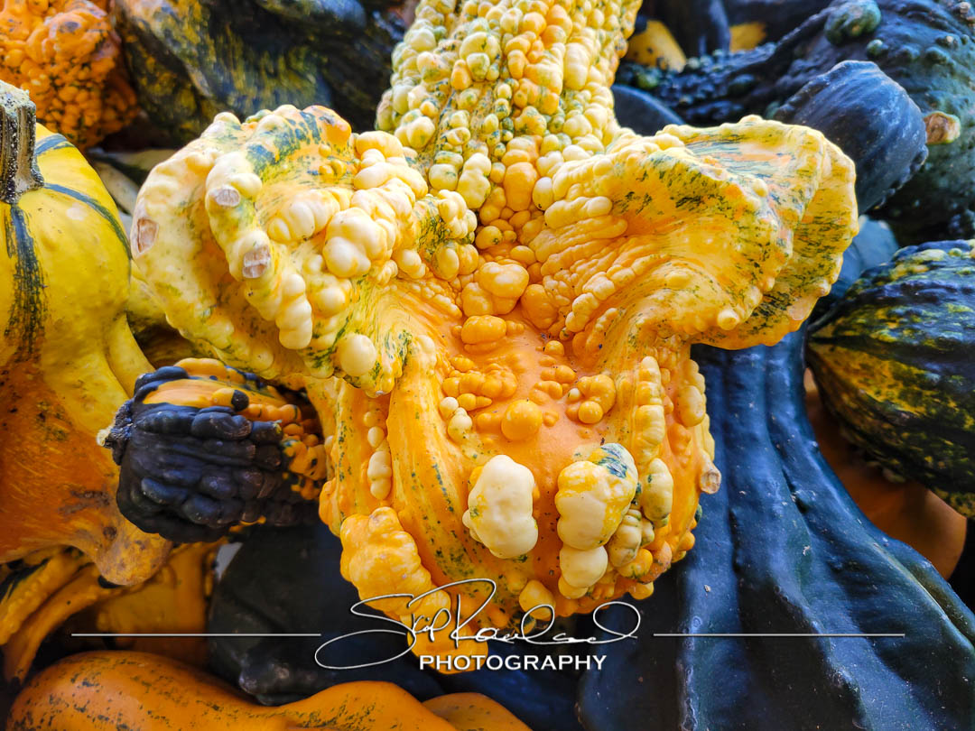 Pole Green Produce Hanover #18037