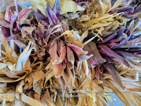 Pole Green Produce Hanover #18038