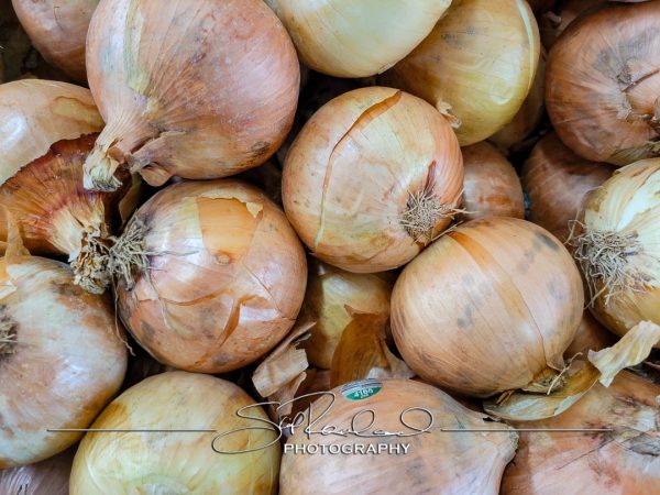 Pole Green Produce Hanover #18039