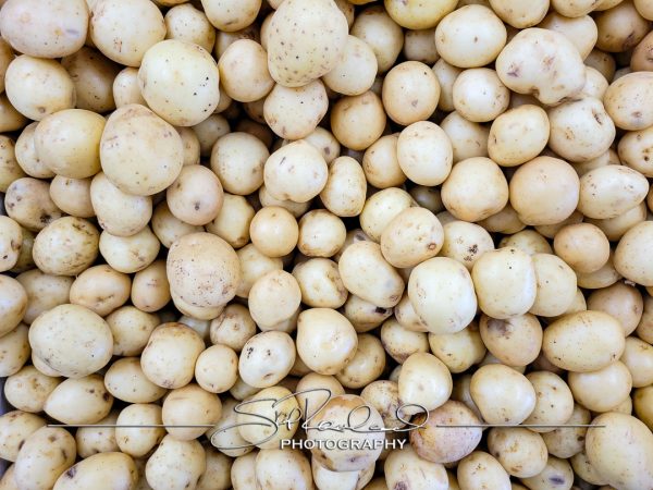 Pole Green Produce Hanover #18042