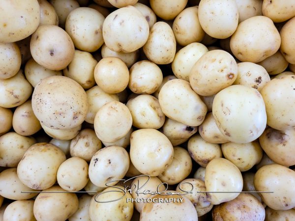 Pole Green Produce Hanover #18043