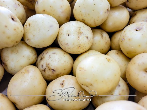 Pole Green Produce Hanover #18045