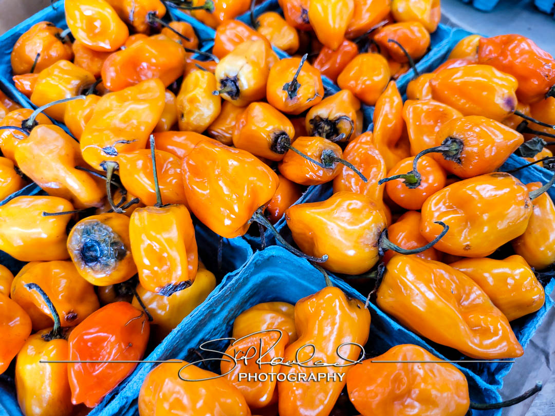 Read more about the article Stock Art