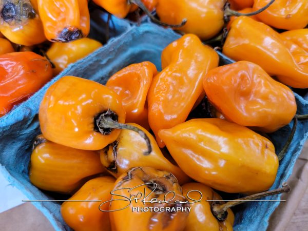 Pole Green Produce Hanover #18047