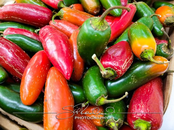 Pole Green Produce Hanover #18050