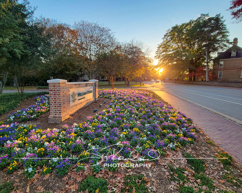 Finding New Light – the Best Of 2021 #97447