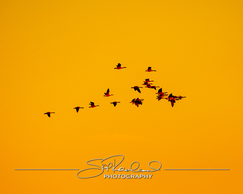 Keep on Rising – the Best of 2022 #95227