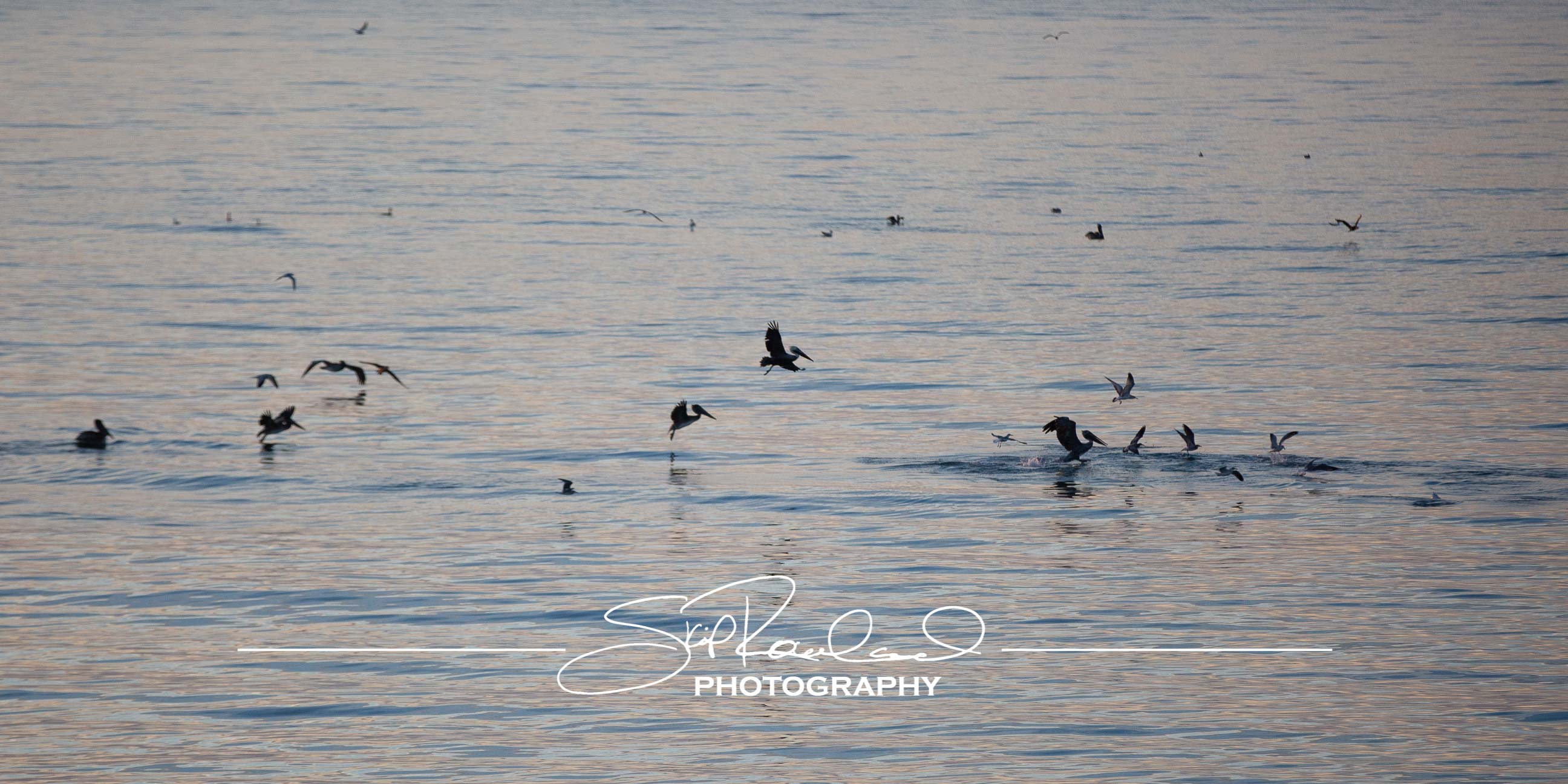 Sunrise at Kure Beach Pier – November 2021 #9893