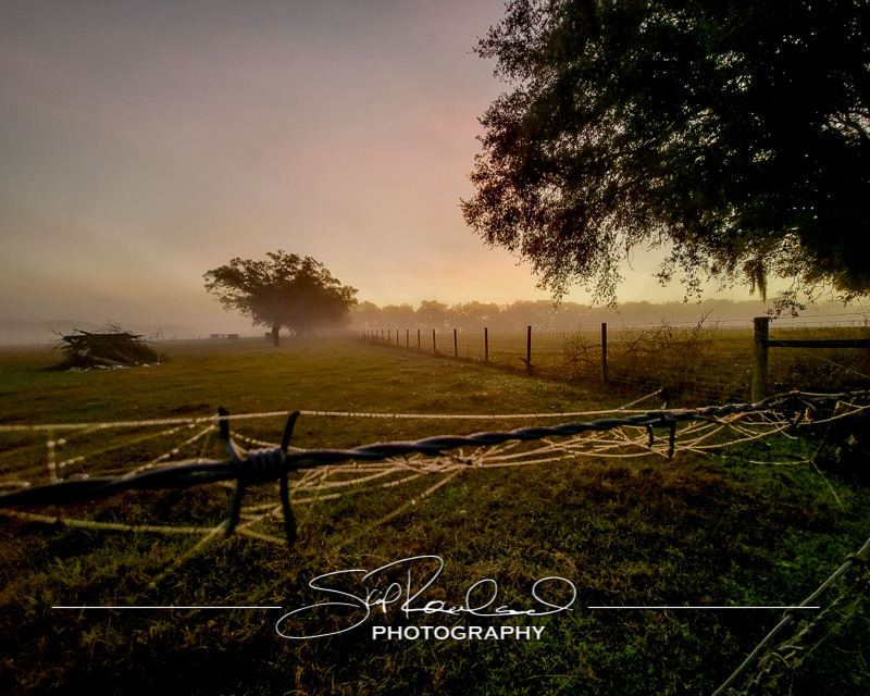 Keep on Rising – the Best of 2022 #97001