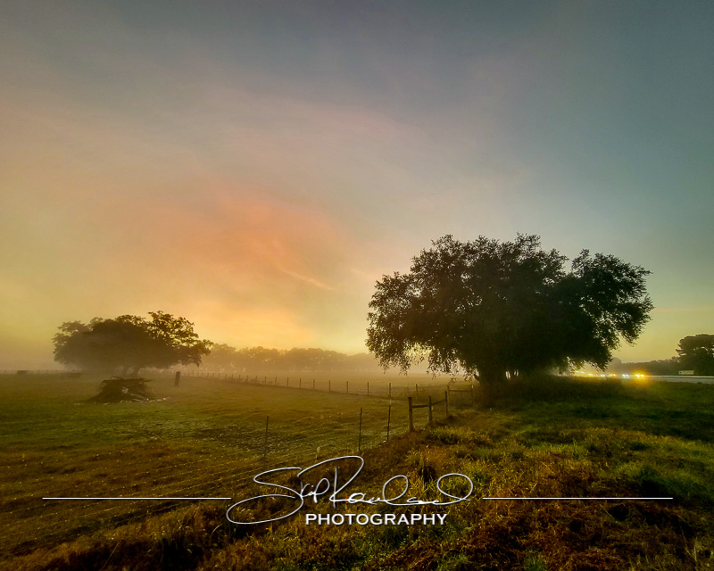 Keep on Rising – the Best of 2022 #95230