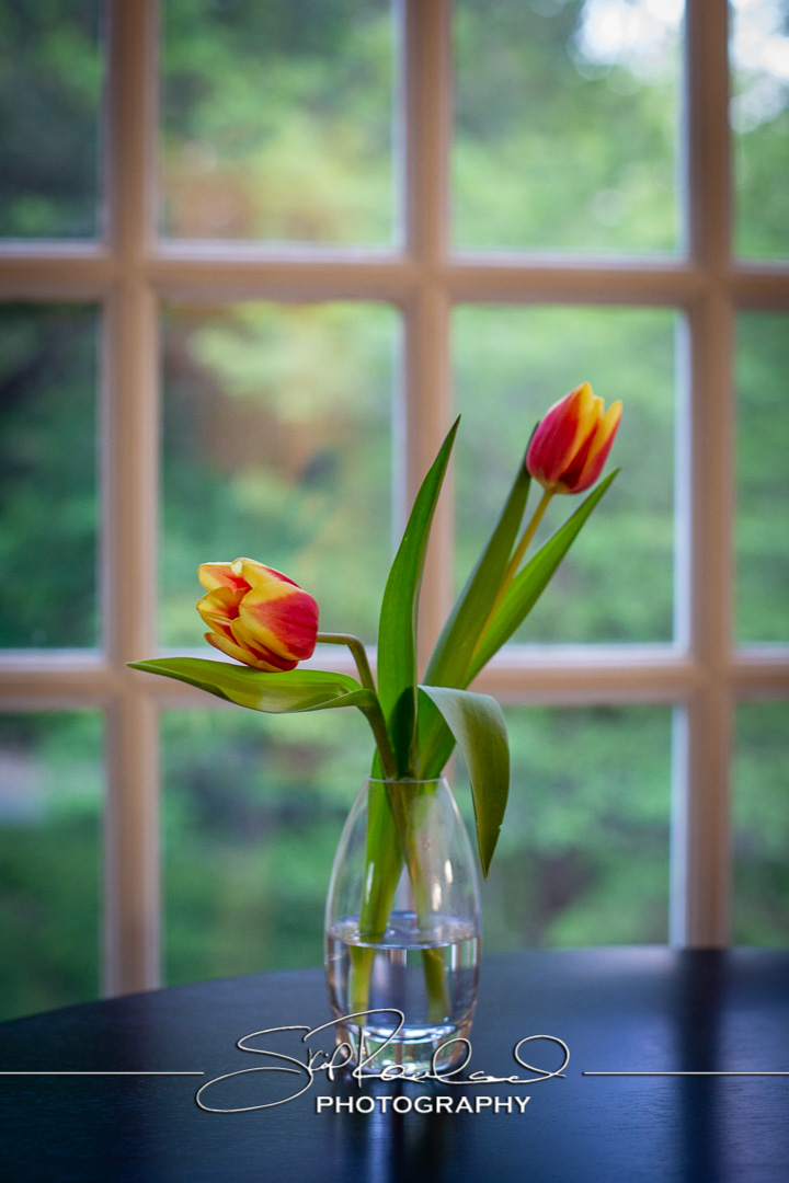 Keep on Rising – the Best of 2022 #95239