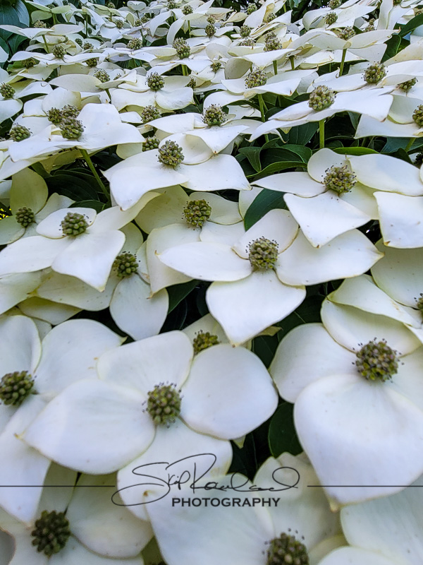 Keep on Rising – the Best of 2022 #95242