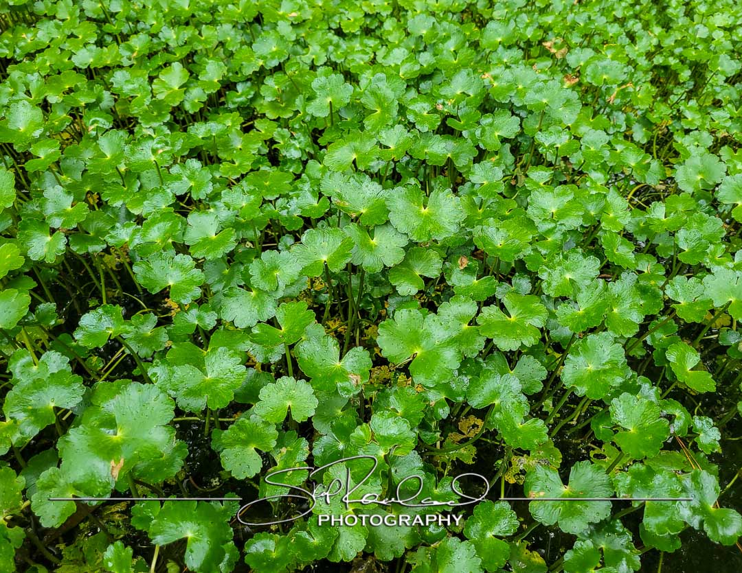 Keep on Rising – the Best of 2022 #95245