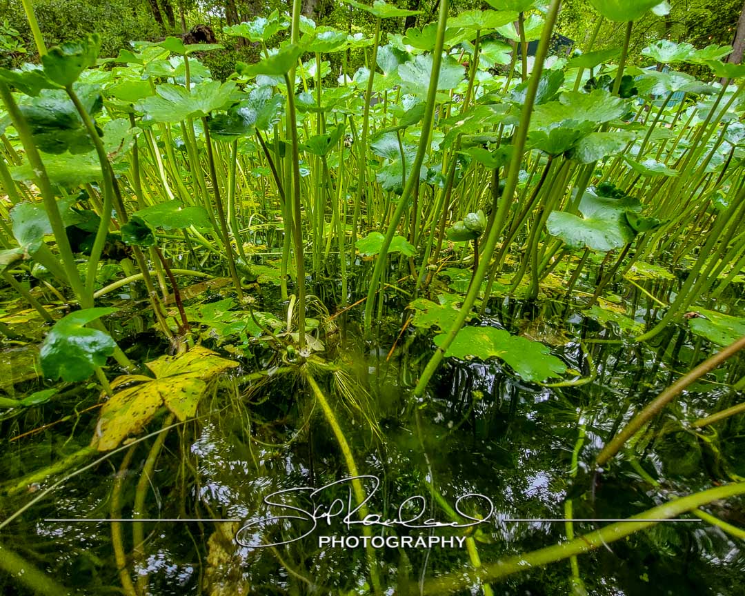 Keep on Rising – the Best of 2022 #95246