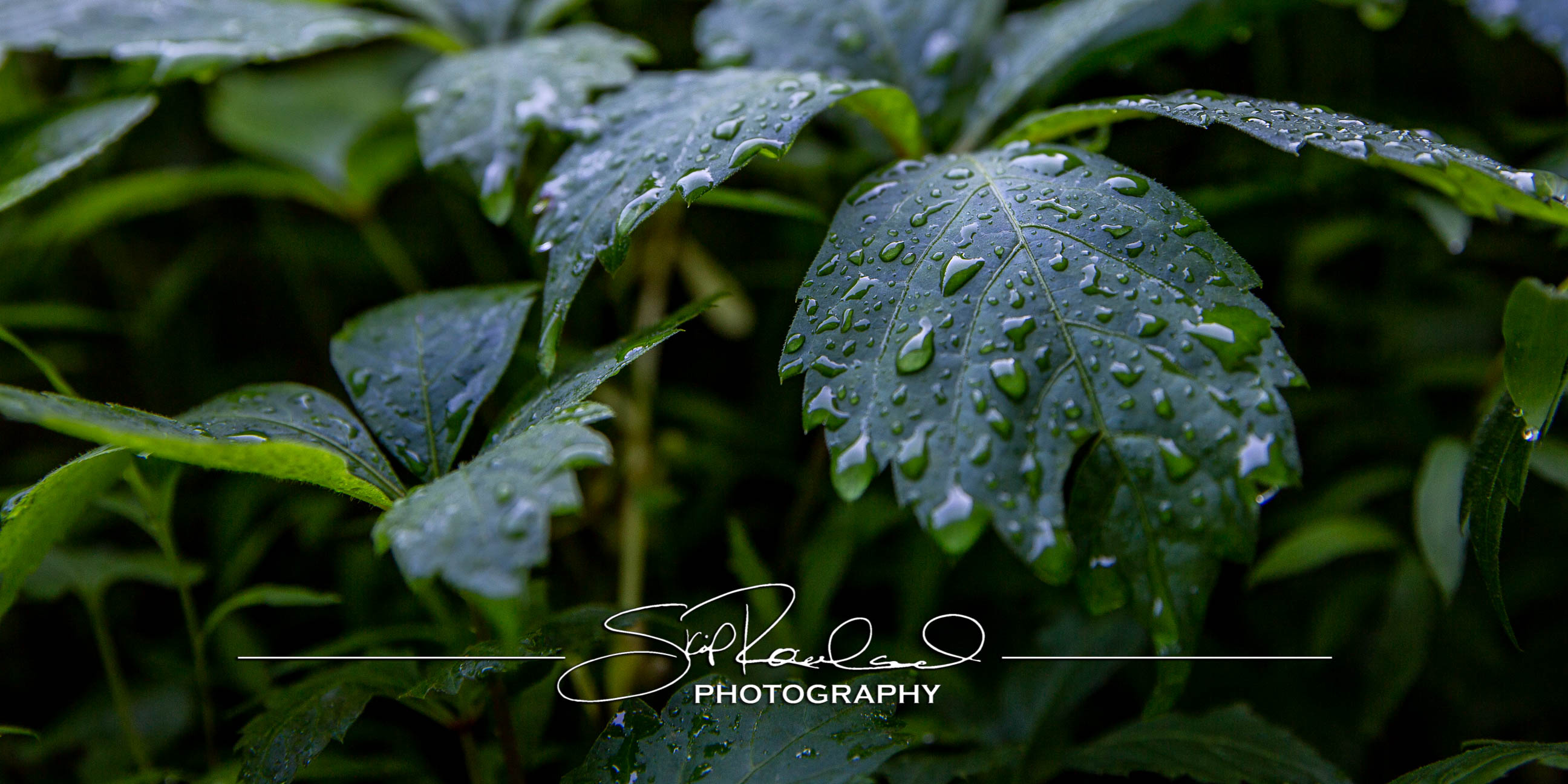 Keep on Rising – the Best of 2022 #95255