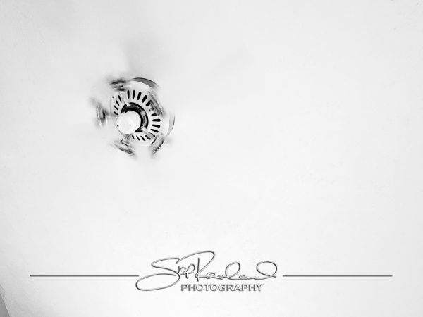 Keep on Rising – the Best of 2022 #95261