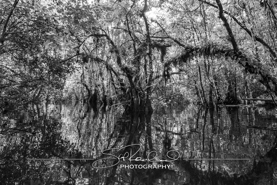 Keep on Rising – the Best of 2022 #20463