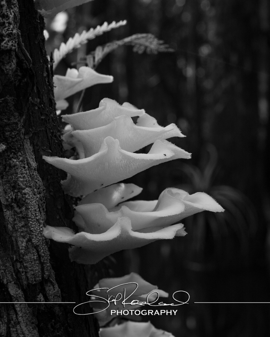 Keep on Rising – the Best of 2022 #20468