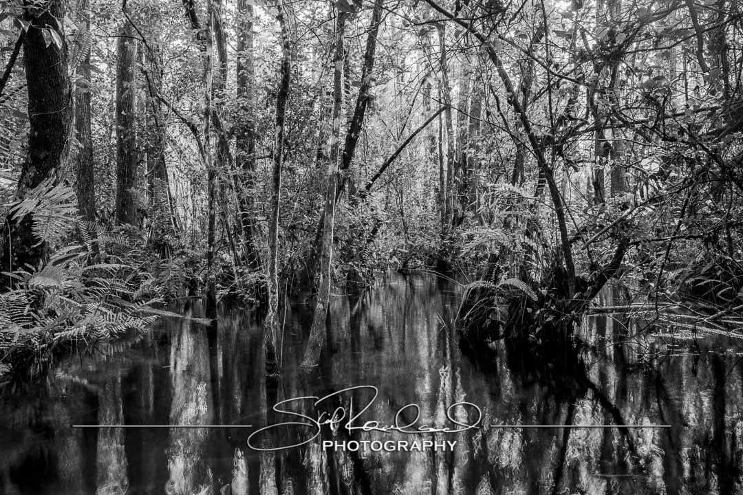 Keep on Rising – the Best of 2022 #20476