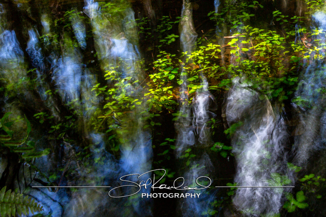 Keep on Rising – the Best of 2022 #20482