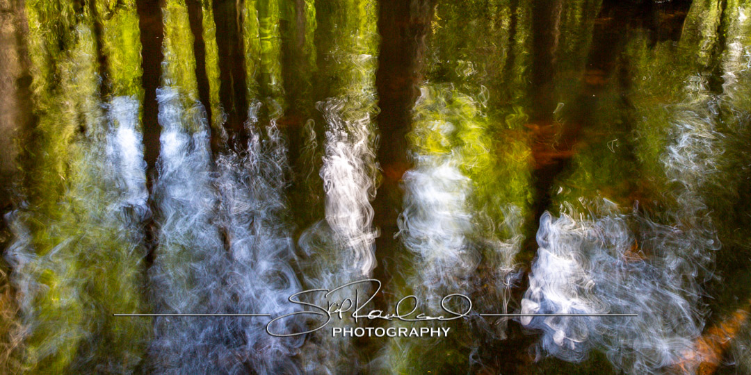 Keep on Rising – the Best of 2022 #20487