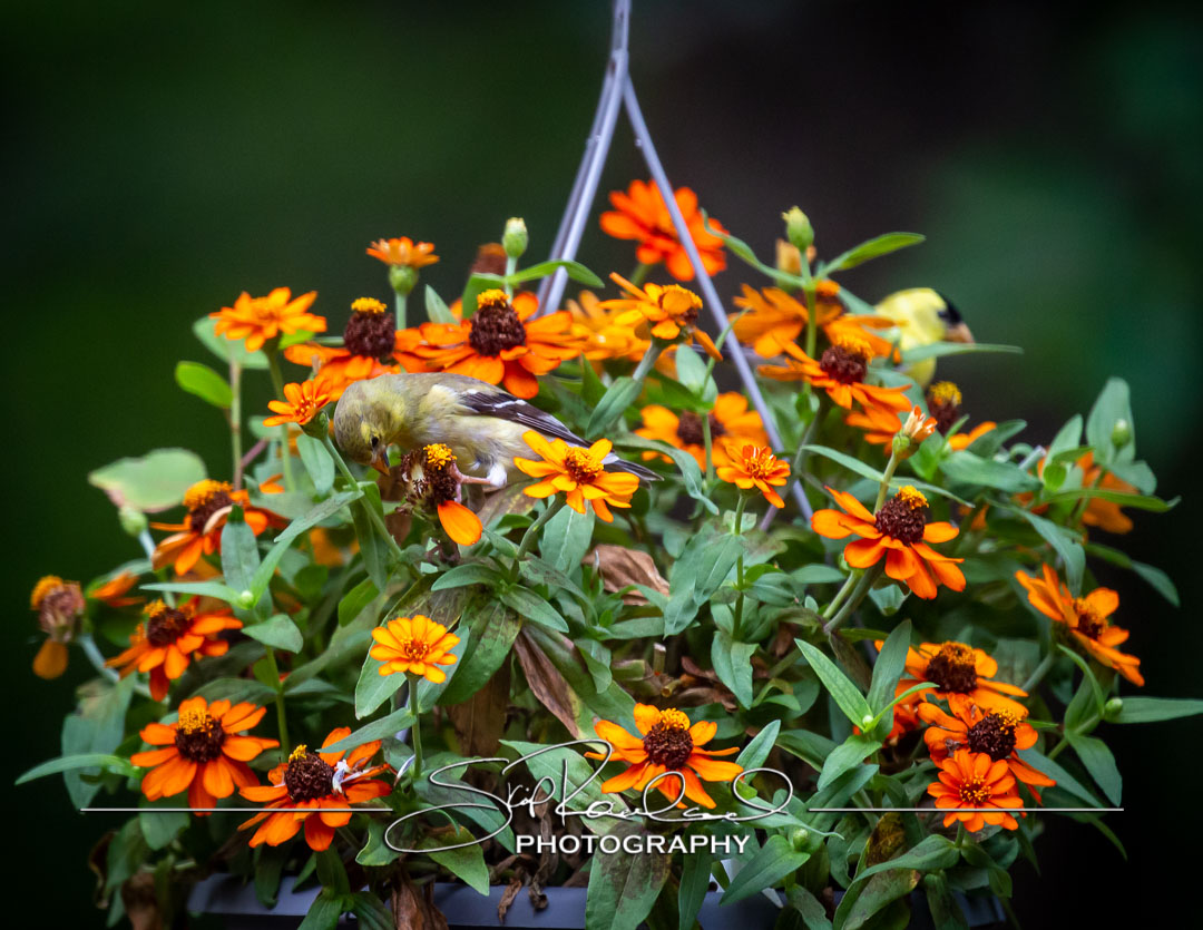 Keep on Rising – the Best of 2022 #95264