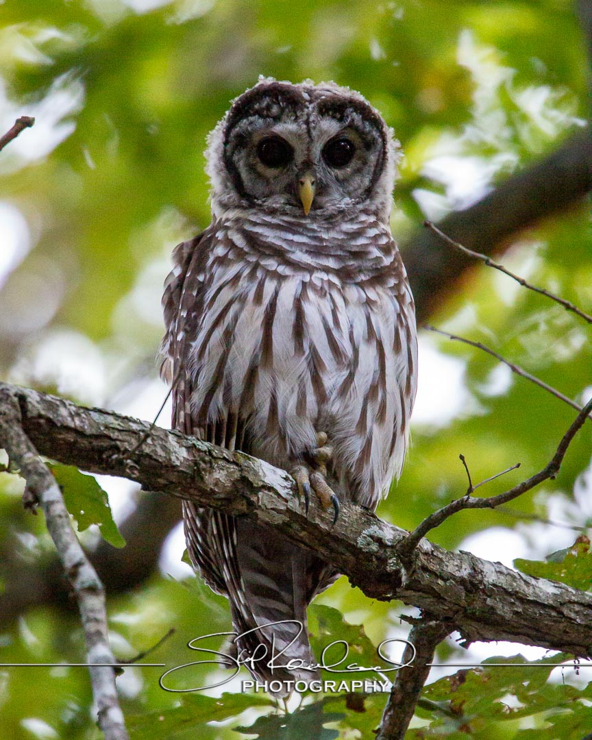 Keep on Rising – the Best of 2022 #97026